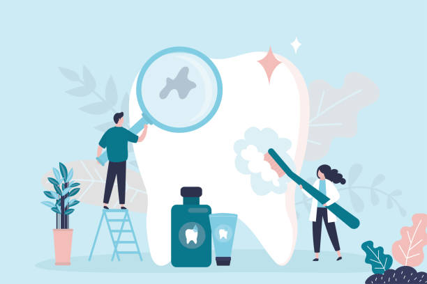  Spring Lake Park, MN Holistic Dental Services Pros